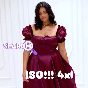 ISO  Silk Satin Bordeaux Garden Party Dress SIZE 4X